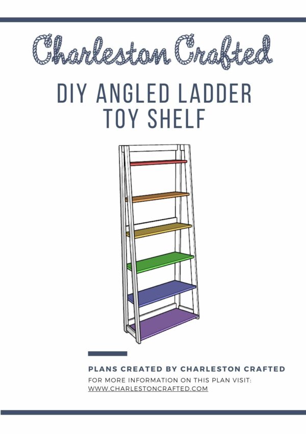Angled ladder shelf