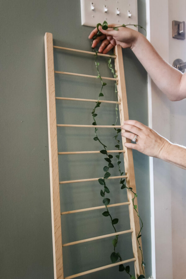 Indoor potted plant trellis