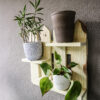 picket fence planter