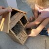 Bug Hotel