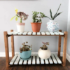 Slatted Plant Stand