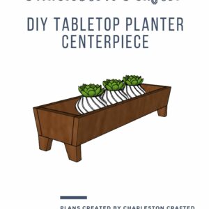 Tabletop Planter Centerpiece