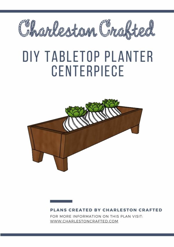 Tabletop Planter Centerpiece