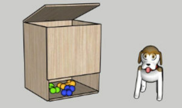 Dog Toy Storage Box