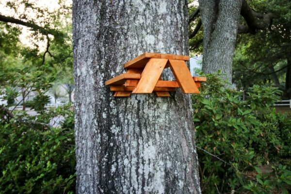 Squirrel Picnic Table