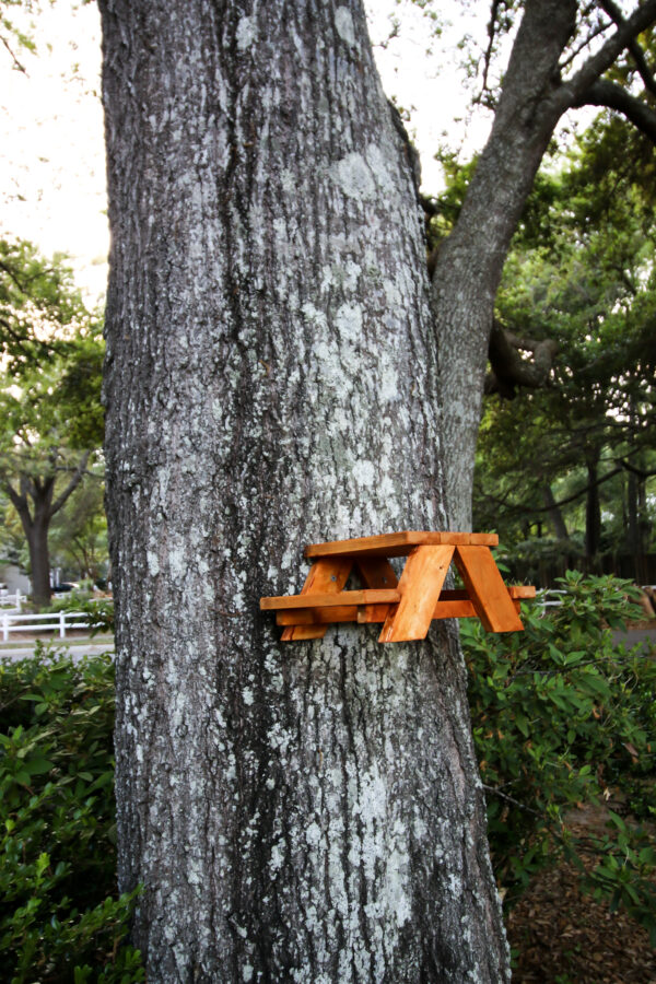 Squirrel Picnic Table