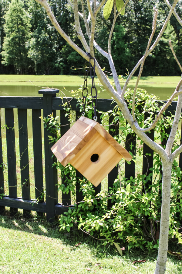 Hanging Birdhouse PDF Printable Woodworking Plans - Image 5