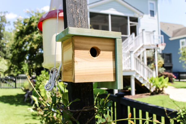 Modern Birdhouse PDF Printable Woodworking Plans - Image 3
