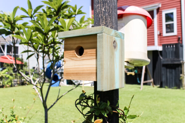 Modern Birdhouse PDF Printable Woodworking Plans - Image 5