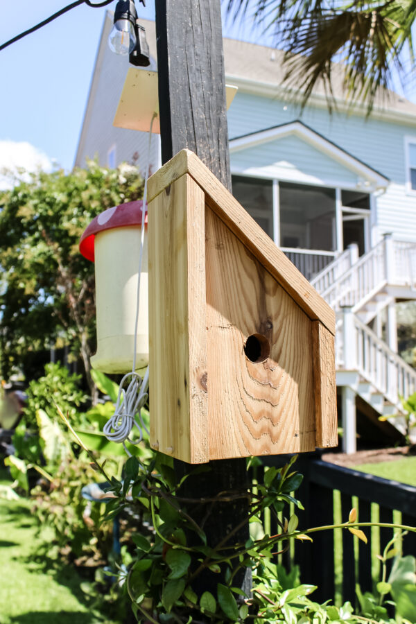 Angled Birdhouse PDF Printable Woodworking Plans - Image 2