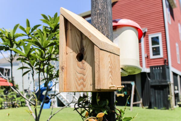 Angled Birdhouse PDF Printable Woodworking Plans - Image 4