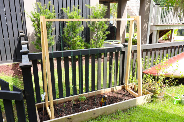 Climbing pea garden trellis PDF Printable Woodworking Plans - Image 3
