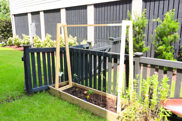 Climbing pea garden trellis PDF Printable Woodworking Plans - Image 7